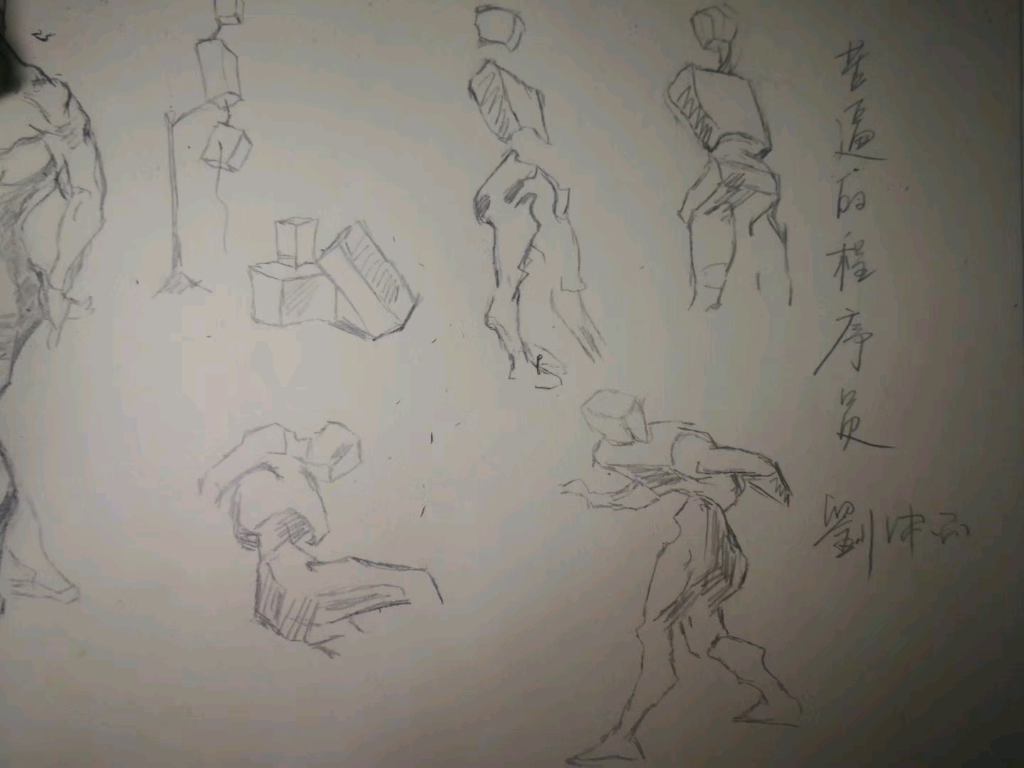 新手连续临摹31天伯里曼会怎样?