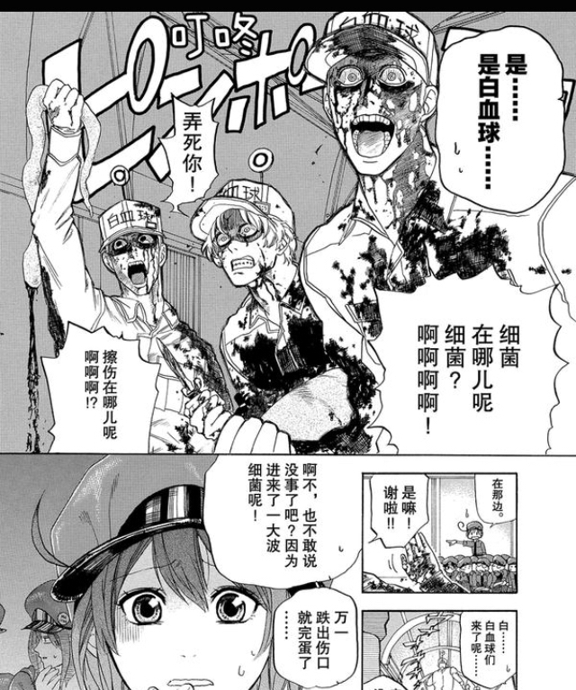 在努力工作着,红细胞告诉观众的是坚持    白血球(编号1146)