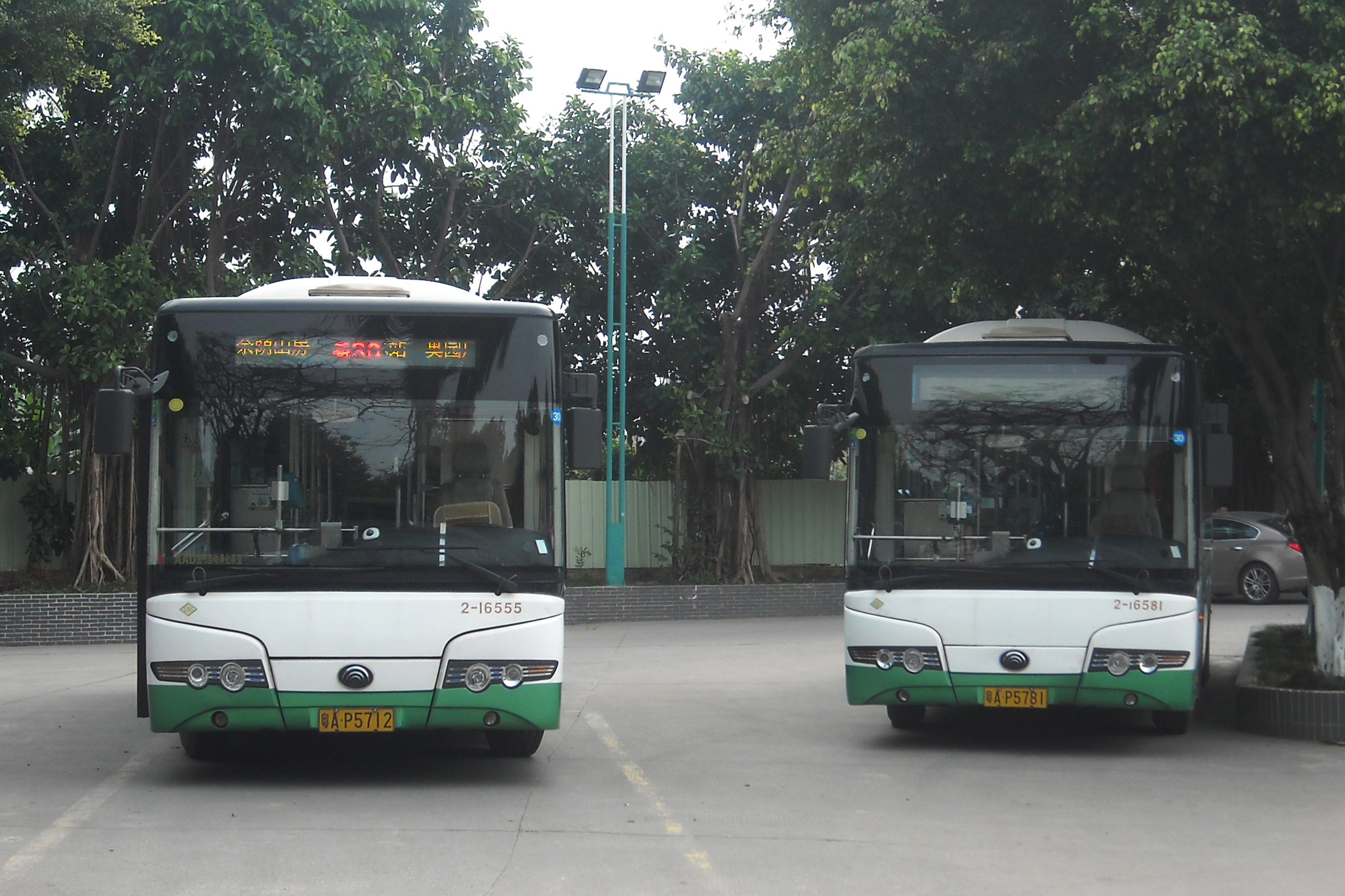 番禺公交最近发生的一些事(番公篇)