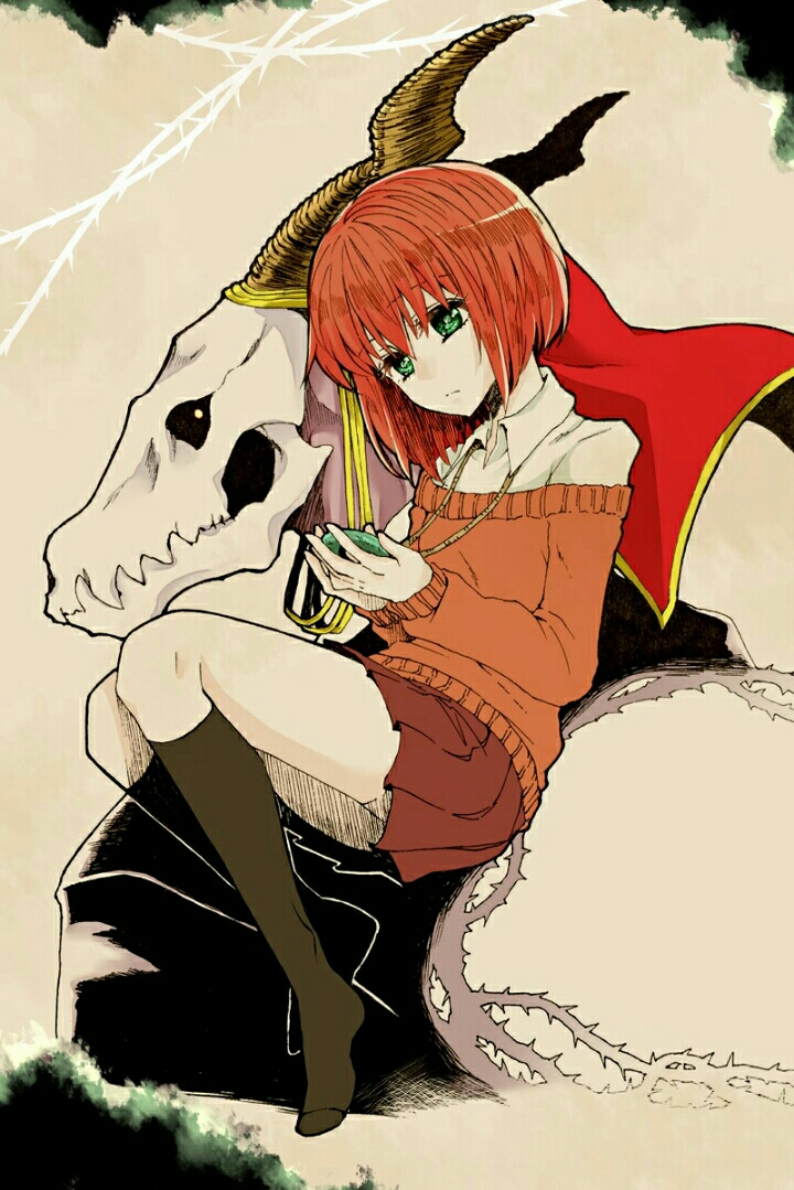 《魔法使的新娘》壁纸