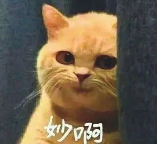 为什么我的箱子里就没有帽子 本期搞笑图片 还记得安卡遛火球吗