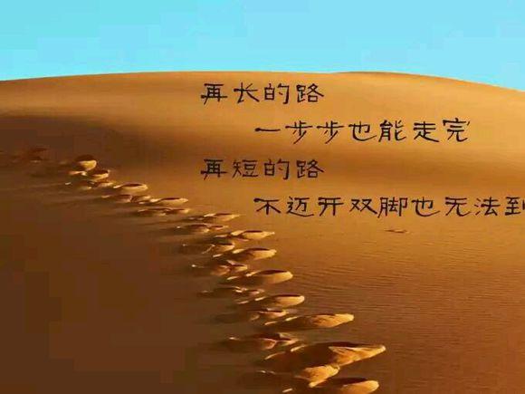 这就是你必须努力的理由 生活中,无论遇到怎样的失意落寞,怎样的坎坷