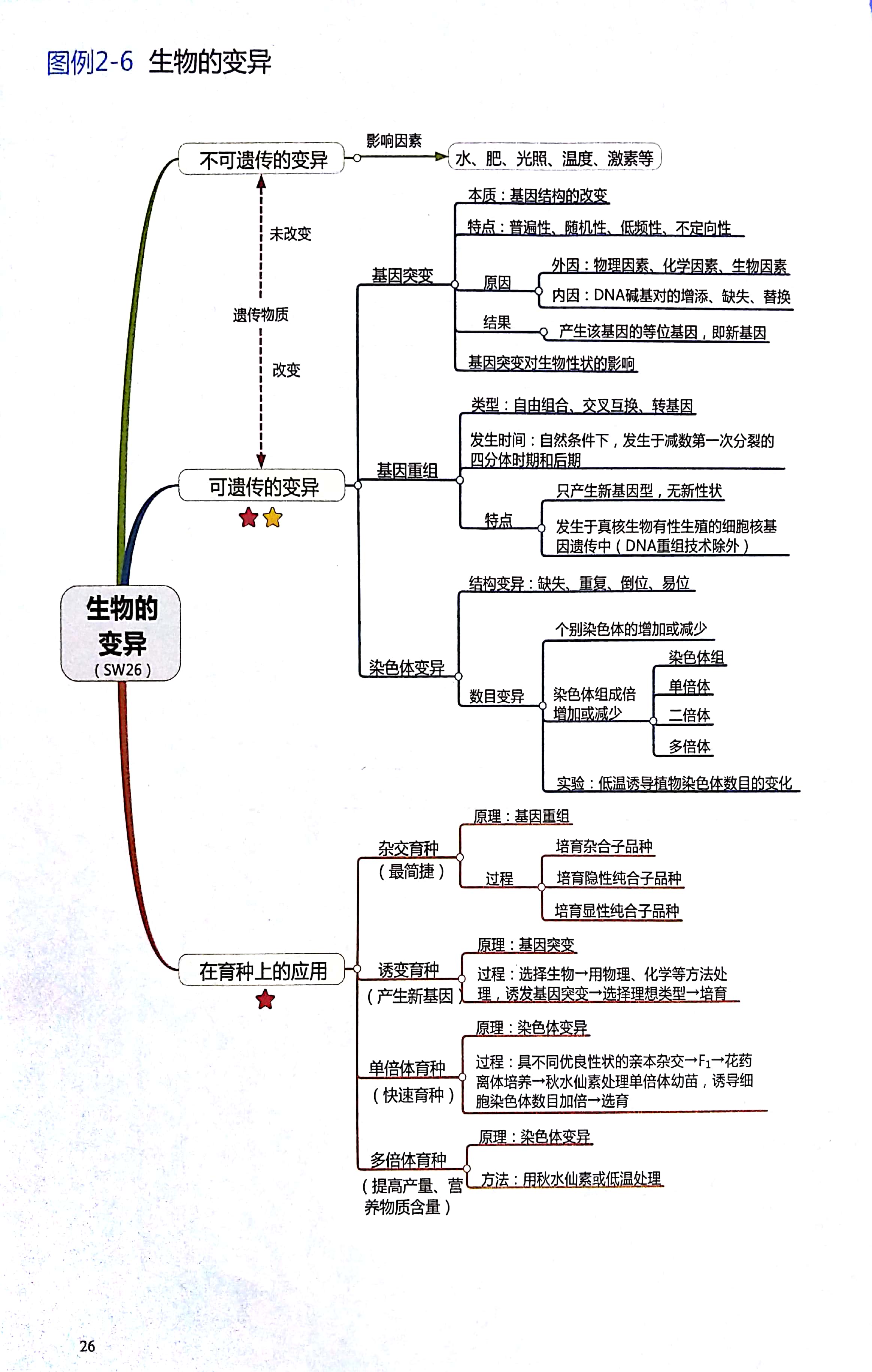 高中生物思维导图