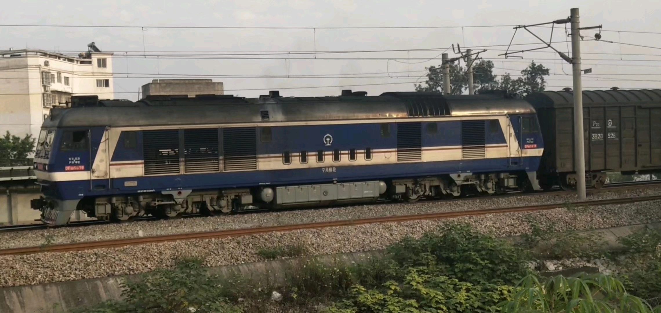 df8b 5619 宁局柳段