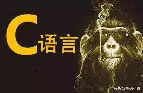 学c语言怎么样  第1张