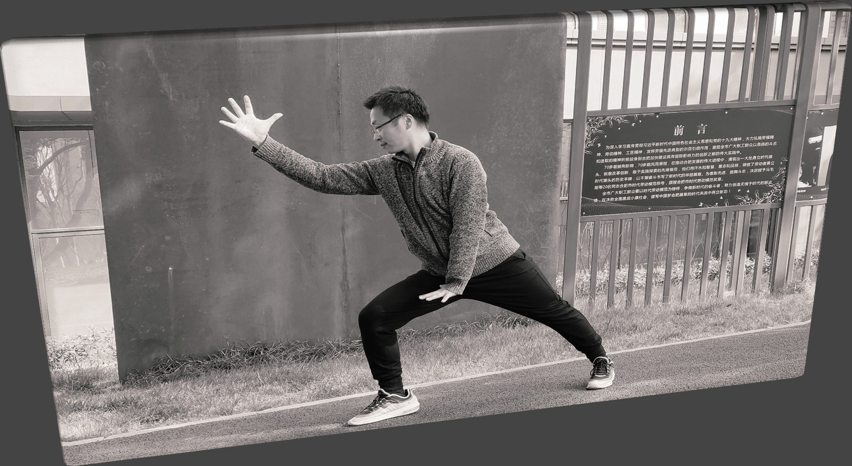 解兴邦心意拳-合肥张道福一支心意拳单式图片