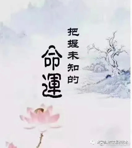 36aa7a32c3e1549025ed591b134253604bb94e57.jpg