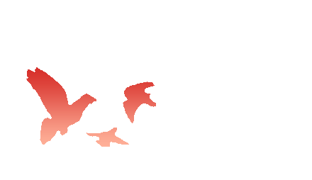 我们相信在党的坚强领导下,中国的未来必将浩浩荡荡,更加繁荣富强.