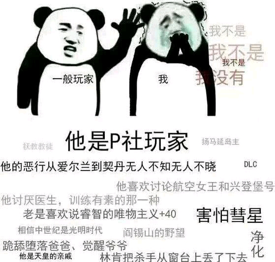 那些p社玩家才知道的梗—表情包图