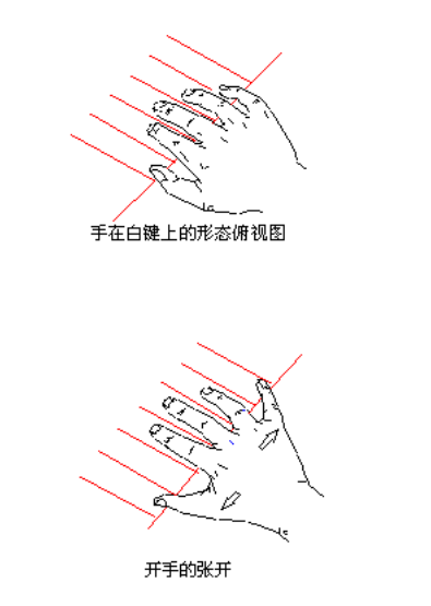 浅析《bang dream!》之:键盘乐器的手形手势