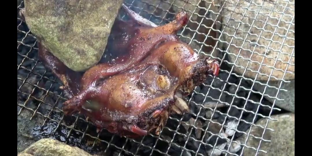 生活 美食 向【华农兄弟】讨教的3种烹饪竹鼠的方法以及烹饪的万能