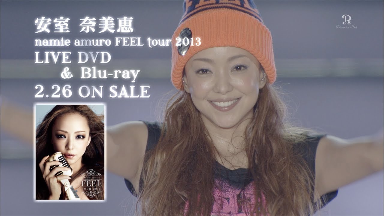 安室奈美恵 namie amuro - 「namie amuro feel tour 2013」2014年2月