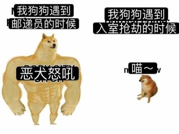 肌肉柴犬与cheems表情包