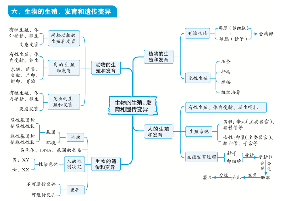 初中生物知识点思维导图大全重难点知识一目了然