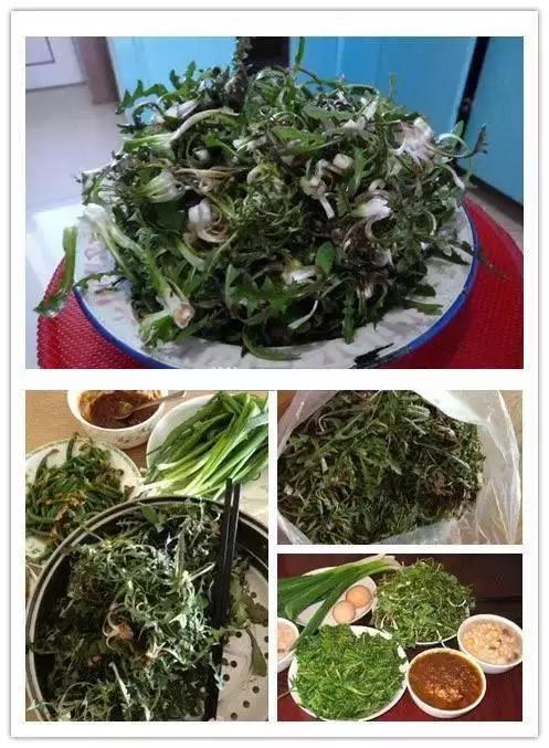 婆婆丁怎么吃 38b962f66ebc44f9f872cf2057ef9d08c4ed2857.jpg