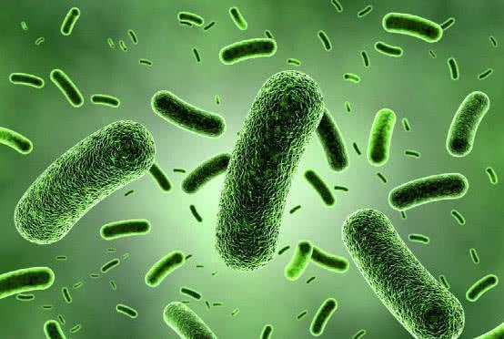 固润科技人体危害,固润科技是干什么的