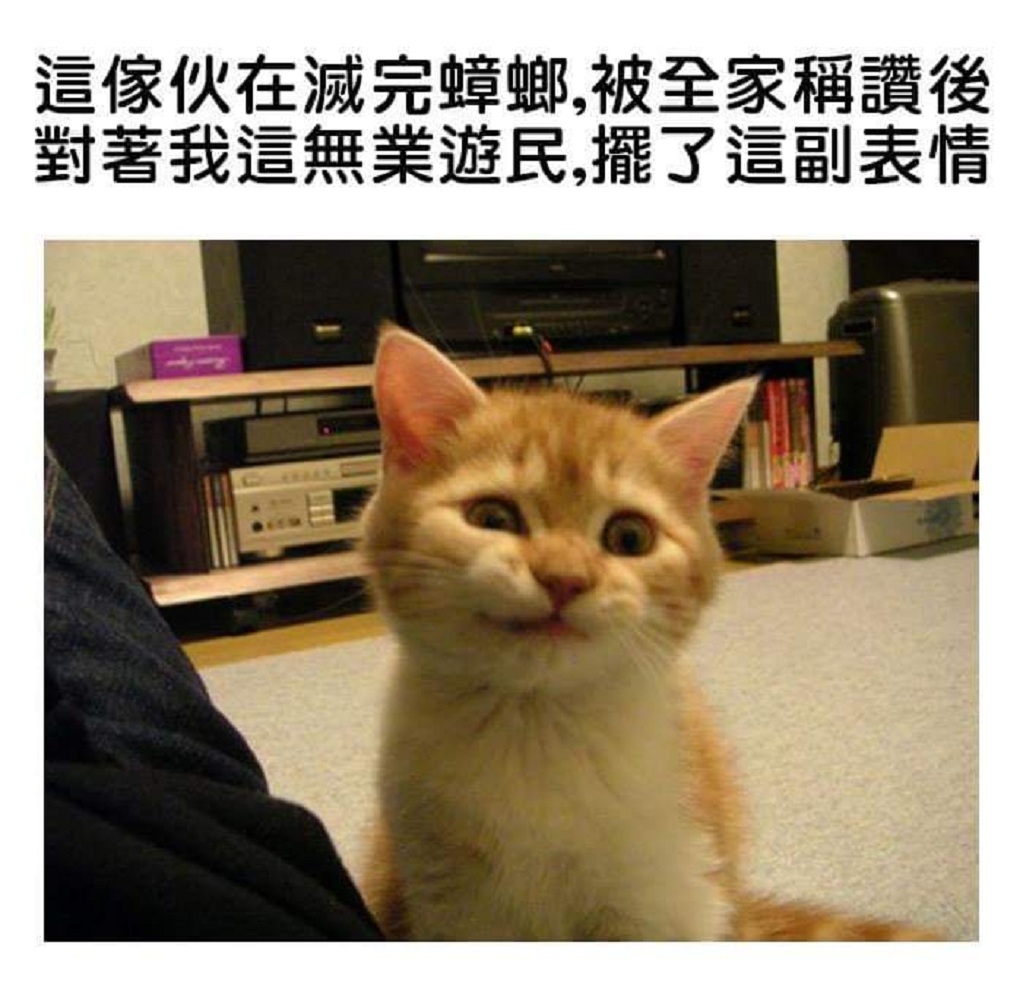 搞笑gif图:第一次洗车有什么需要注意的吗?