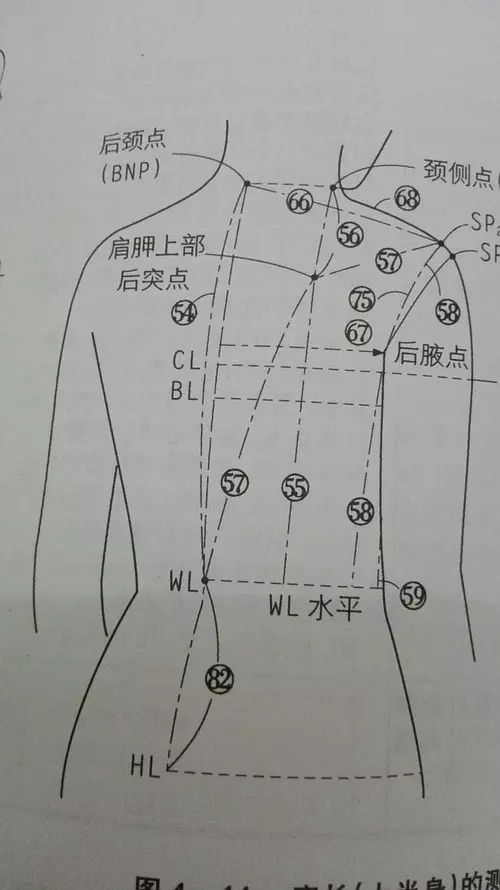 内衣打版教程_内衣打版图片