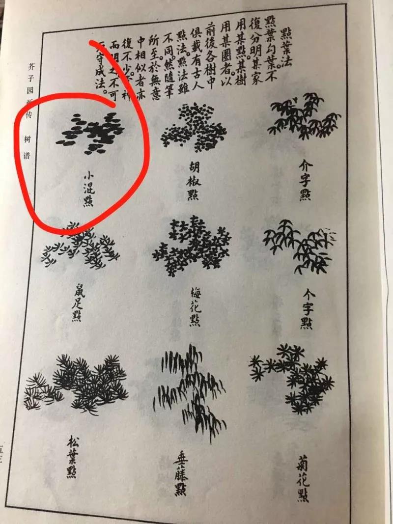 「小二画唠」《芥子园画谱》系列之——点叶法