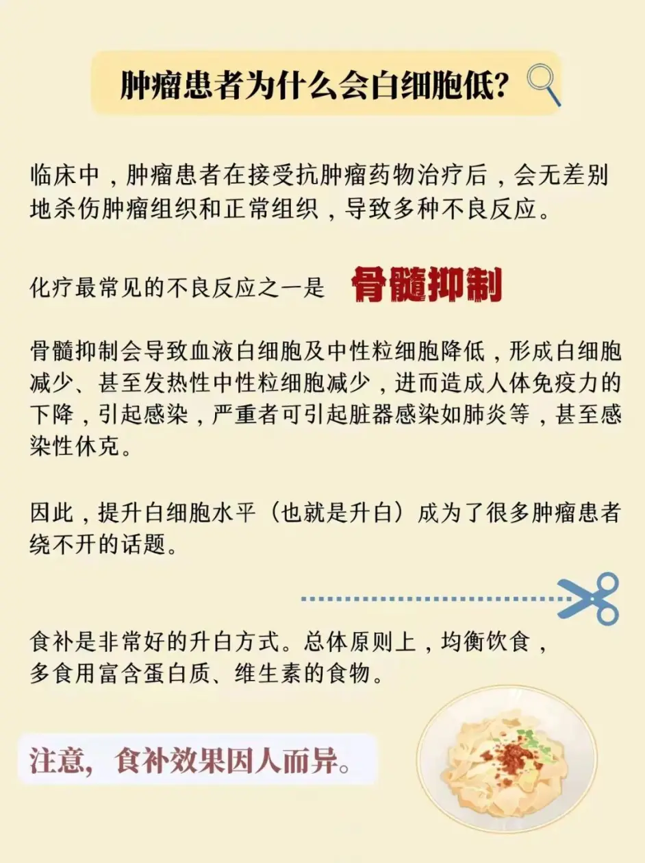 化疗后吃什么增加白细胞 食补