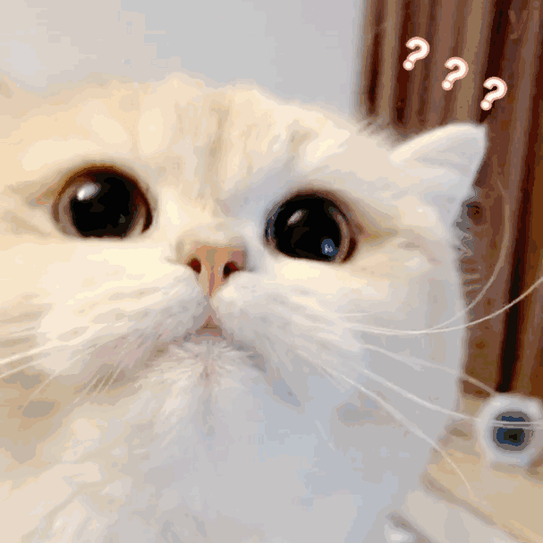 可爱猫猫表情包!