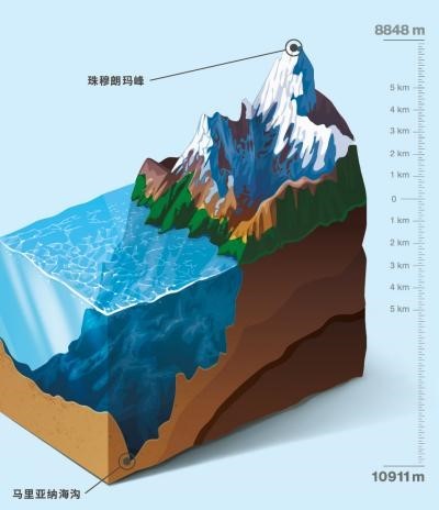 马里亚纳海沟自由遨游的软体机器鱼力学材料与控制