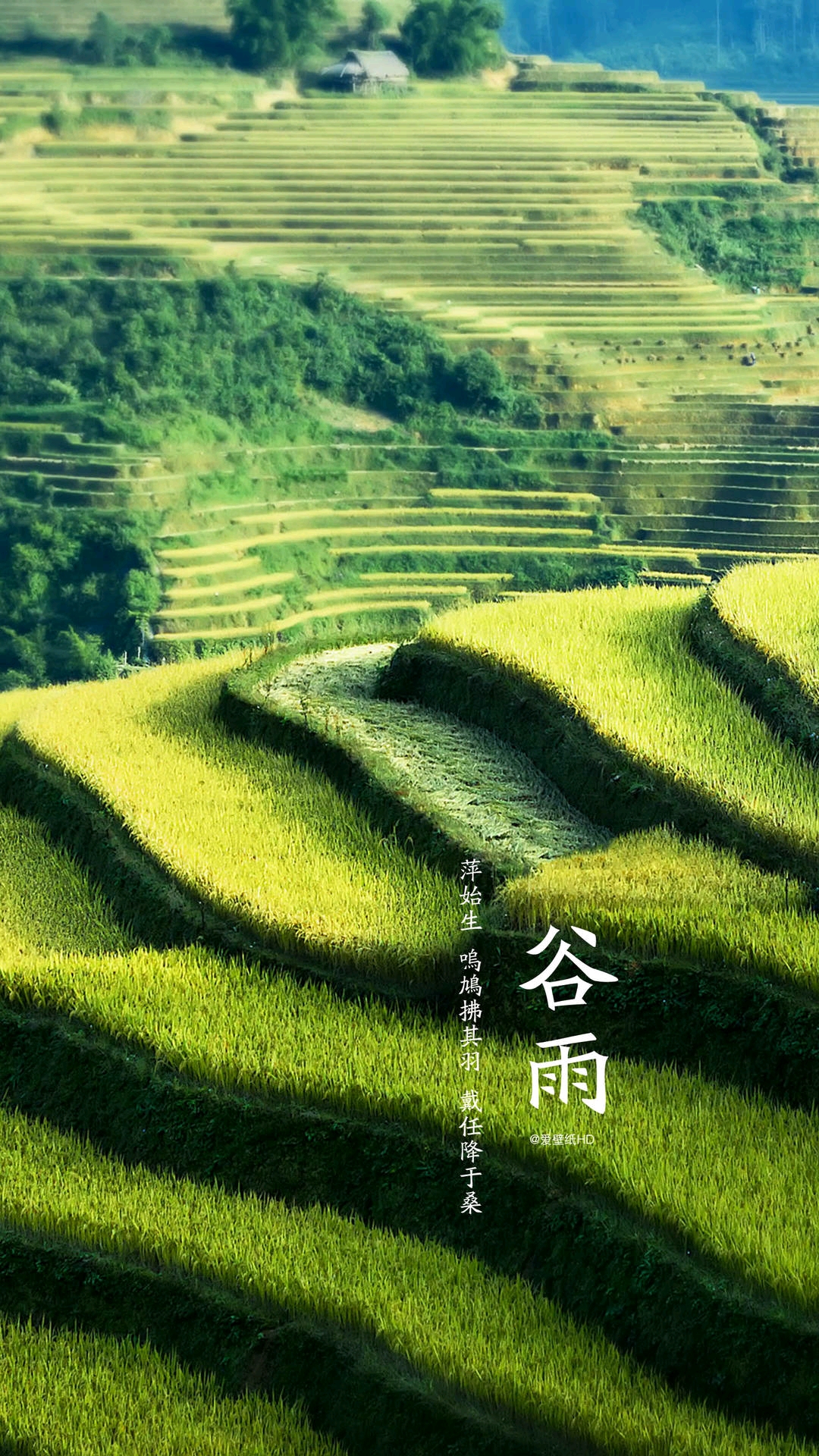 二十四节气 简单易懂的含义与好看的风景图 手机壁纸