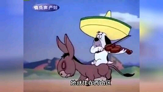 烧饵块