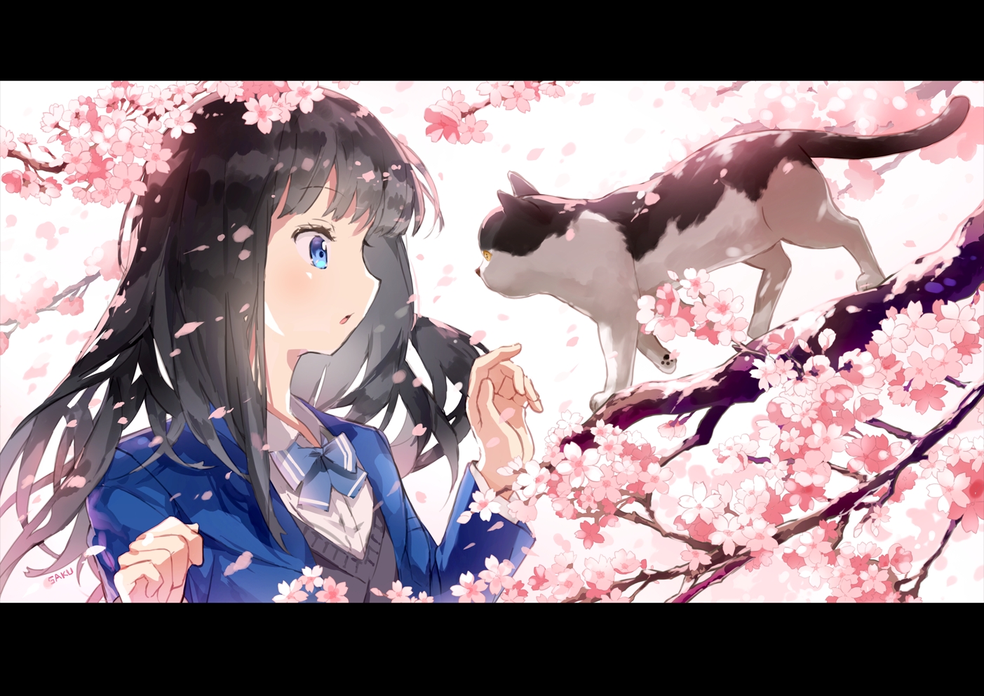 猫与樱花少女