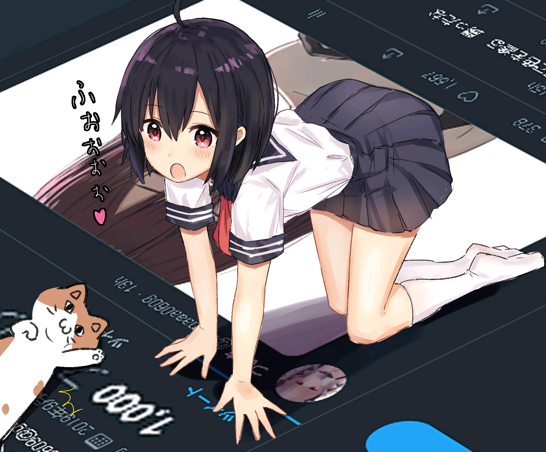 【二次元の美图】都是大姐姐哦~满满的正能量!每一张