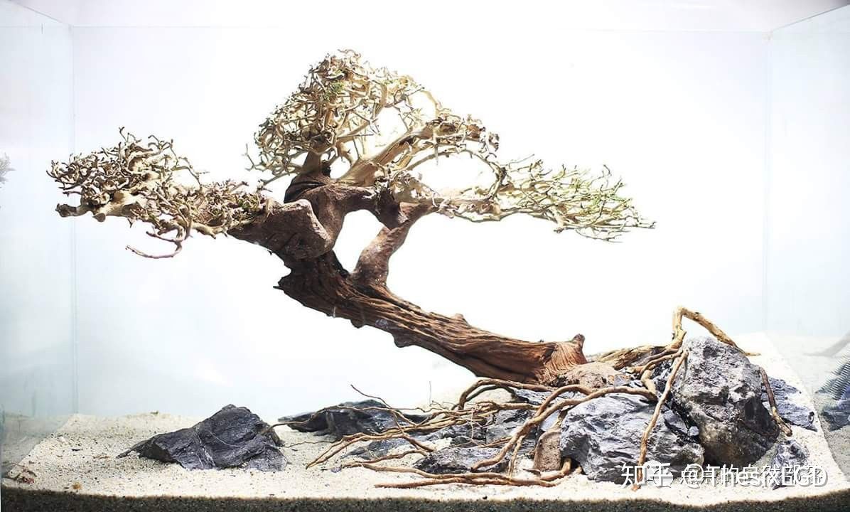 草缸从零开始一些常见的造景素材