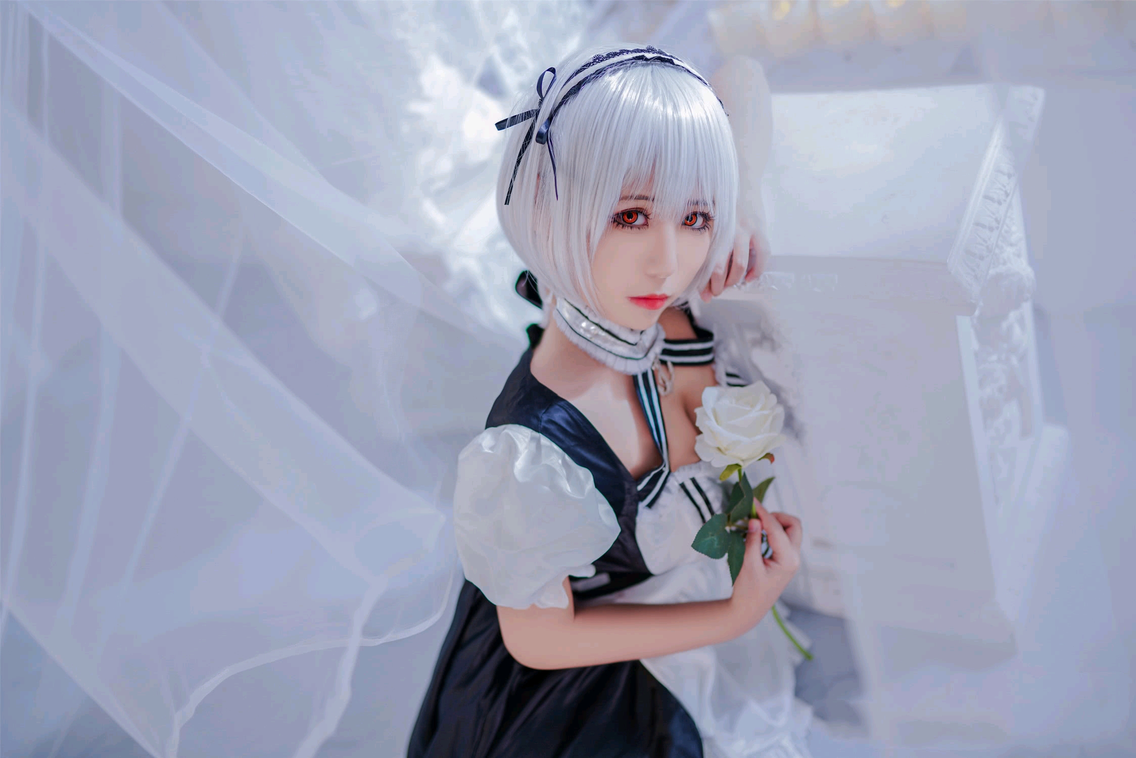 天狼星cosplay三连击