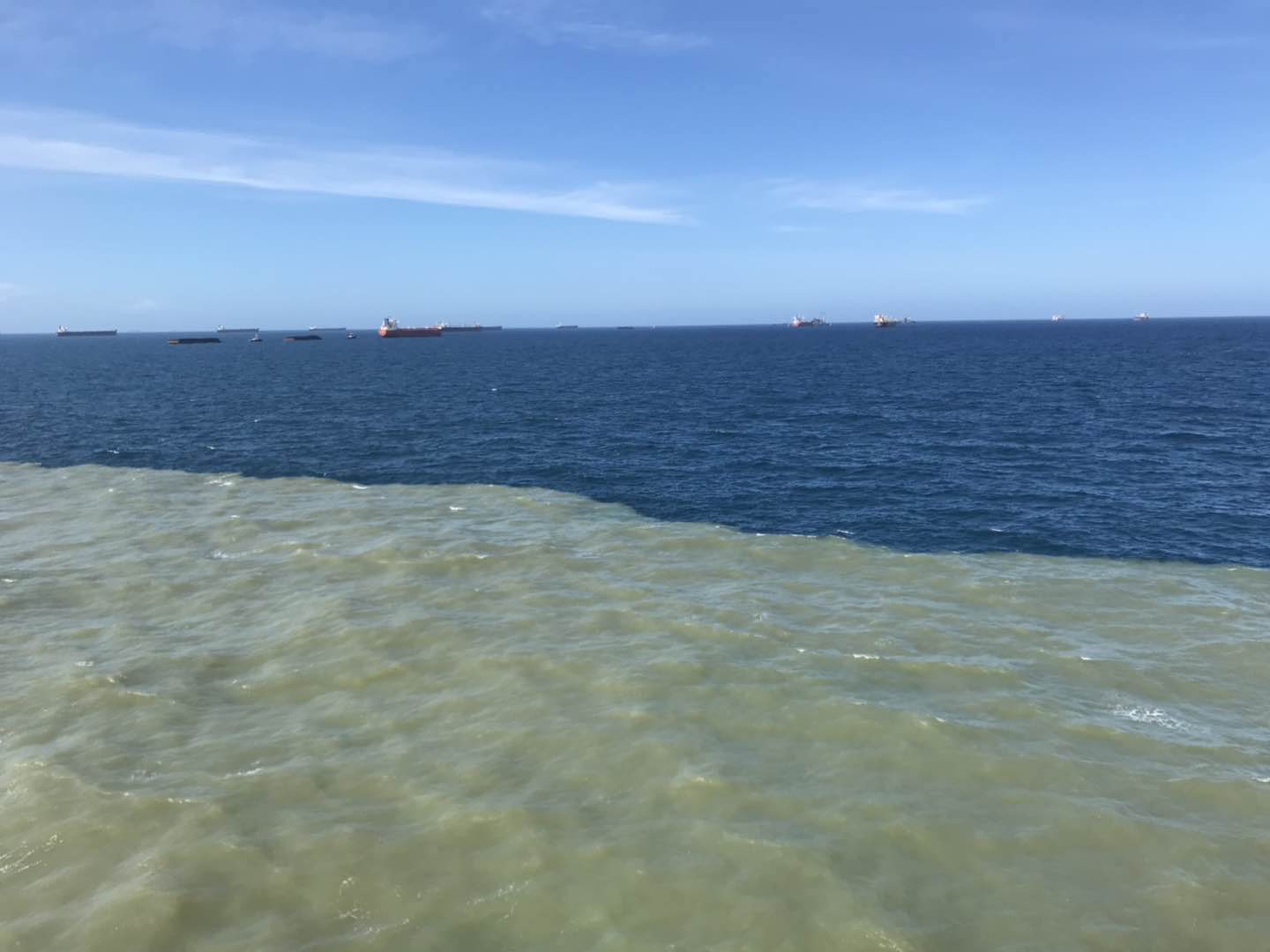 当地特色双色海(就是江水入海,长江也能看到)