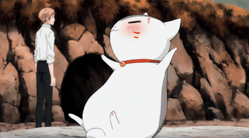 现在的猫老师对友人帐已经没有兴趣了,每天喝的醉醉的,和夏目说说