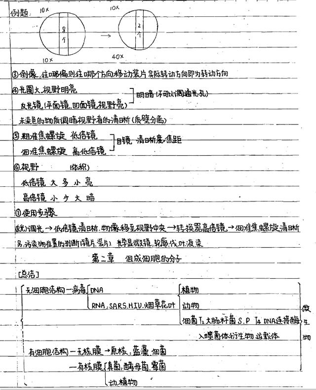 168页!高中生物最全手写笔记(可打印)!学霸是这样炼成
