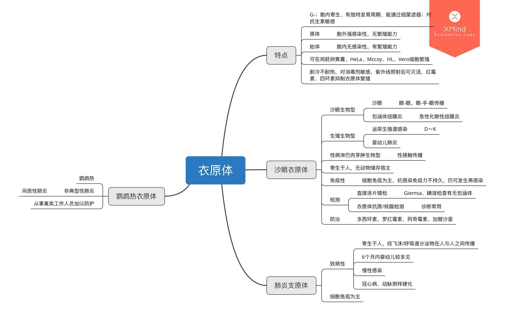 医学微生物思维导图一