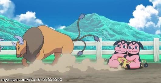 【铁甲蛹原创】一般属性代表宝可梦介绍 肯泰罗篇