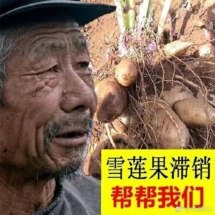 可是家里种啥啥滞销 各种求帮助 但是又相当不普通 因为这位大爷的
