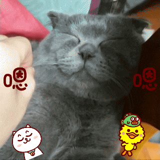 超可爱-猫咪表情包(gif)睡觉篇