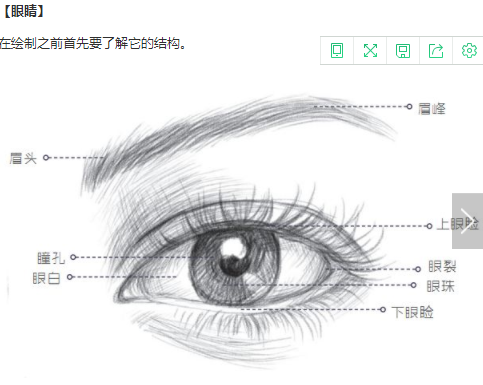 千例五官,头发,动作 临摹完了,不信你还画不好 各种眉形和瞳孔的画法