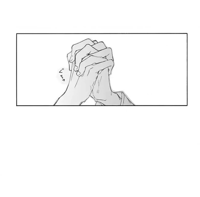 魔道祖师--蓝忘机视角(天天)