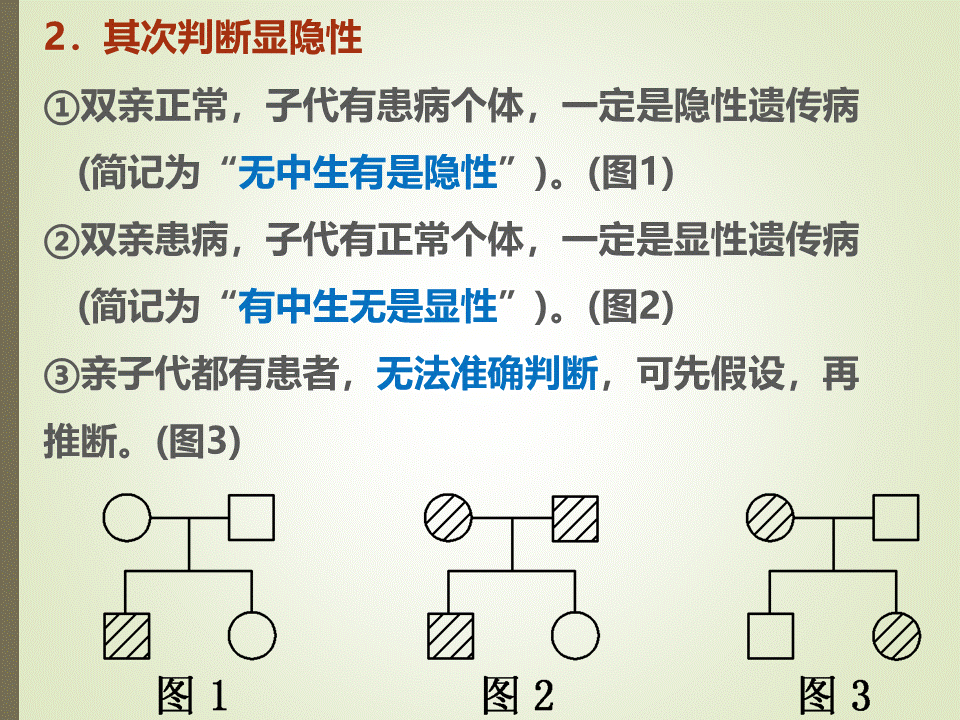 23专题伴性遗传的常规解题方法