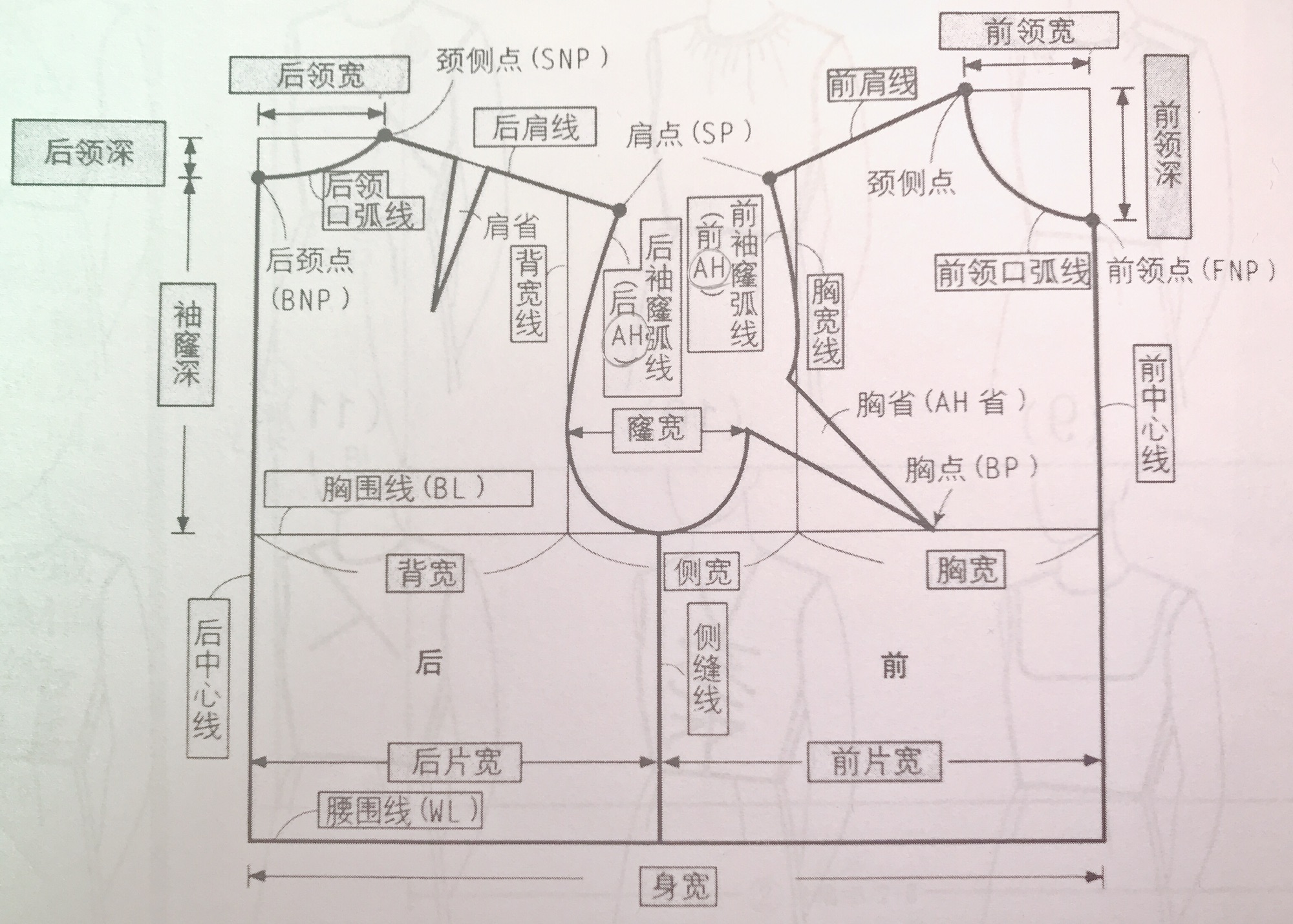 ob11的原型纸样问题,完全无视我这里是bjd娃衣教室,于是,小于老师我