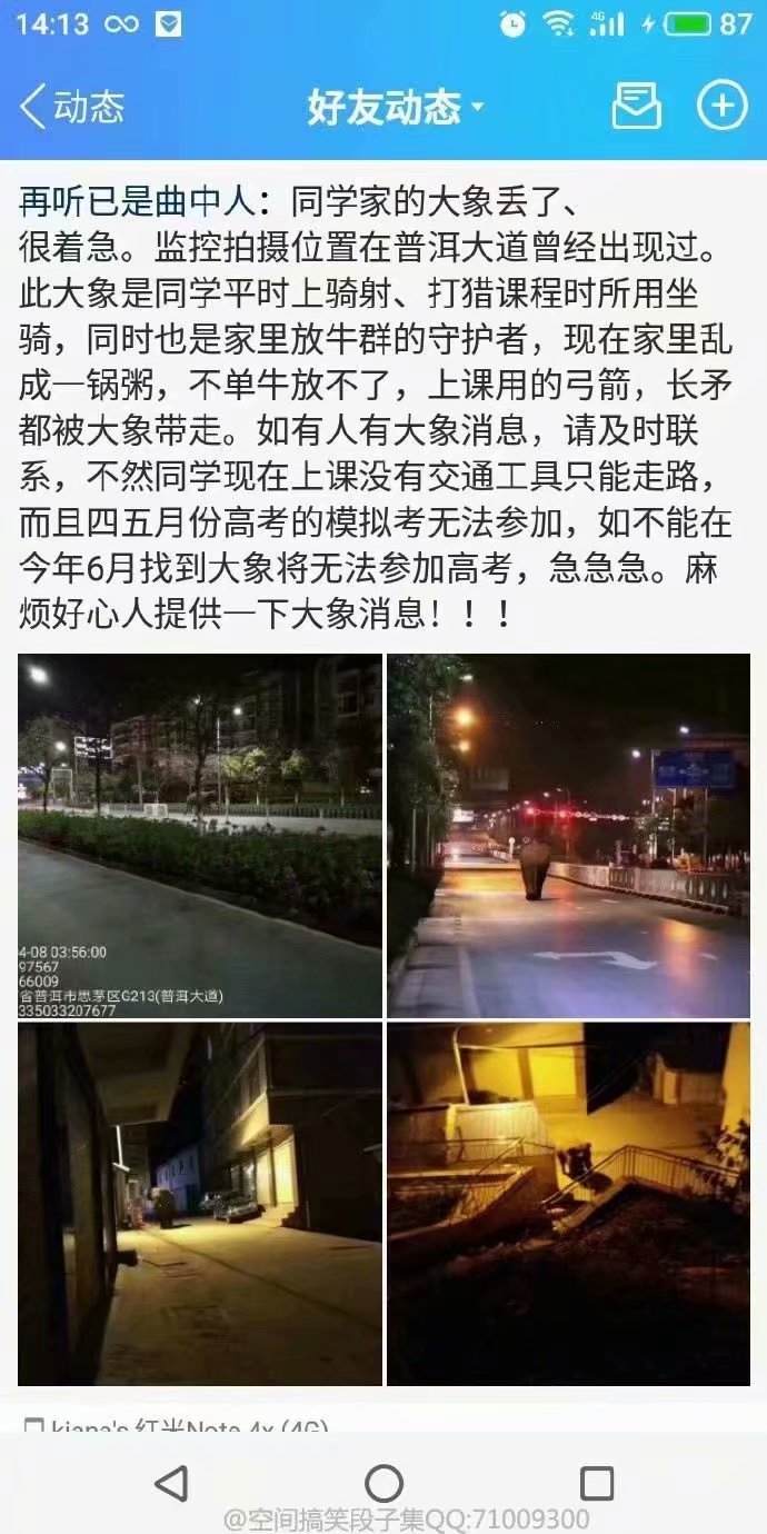 老干妈瓶子泡茶 网络上那些有毒的沙雕图 #213