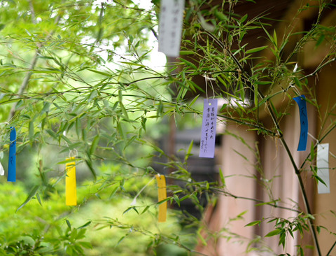 艾草挂到大门上的挂法 3d9d1b6a0e93e050873f9f44636bb1d182d21362.png