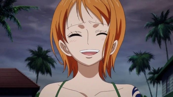 海贼王:草帽一伙特殊技能,娜美的技能最强,索隆的有点尴尬!