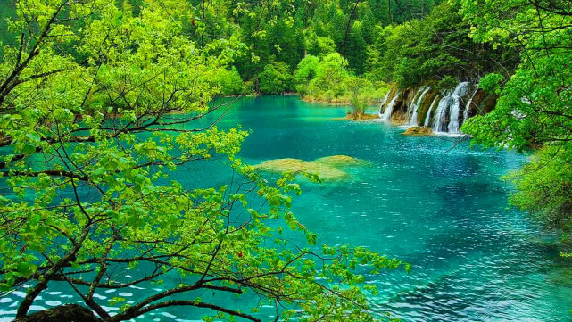 赶快行动吧,这个暑期就去九寨沟