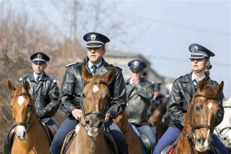 世界部分主要国家警力(警民比)情况