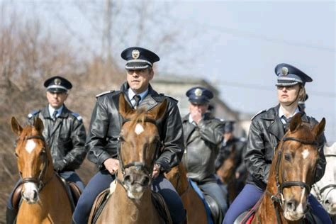 世界部分主要国家警力（警民比）情况