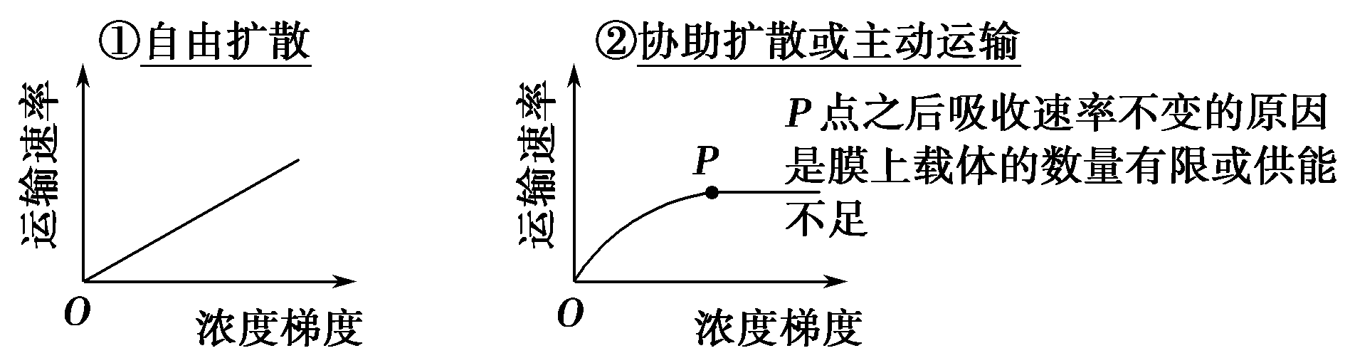 (2)消耗能量的运输方式除主动运输外不要漏掉胞吞和胞吐.